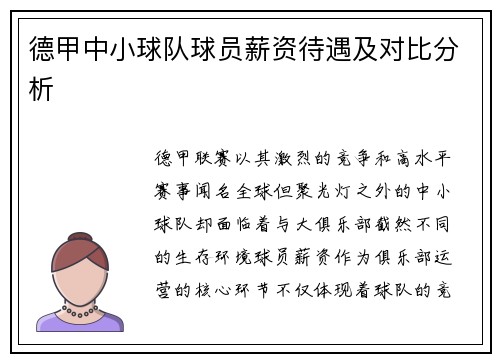 德甲中小球队球员薪资待遇及对比分析