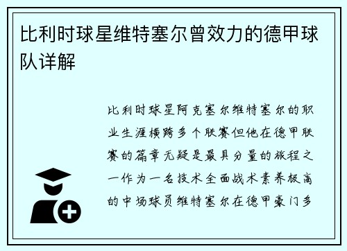 比利时球星维特塞尔曾效力的德甲球队详解