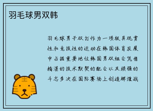羽毛球男双韩
